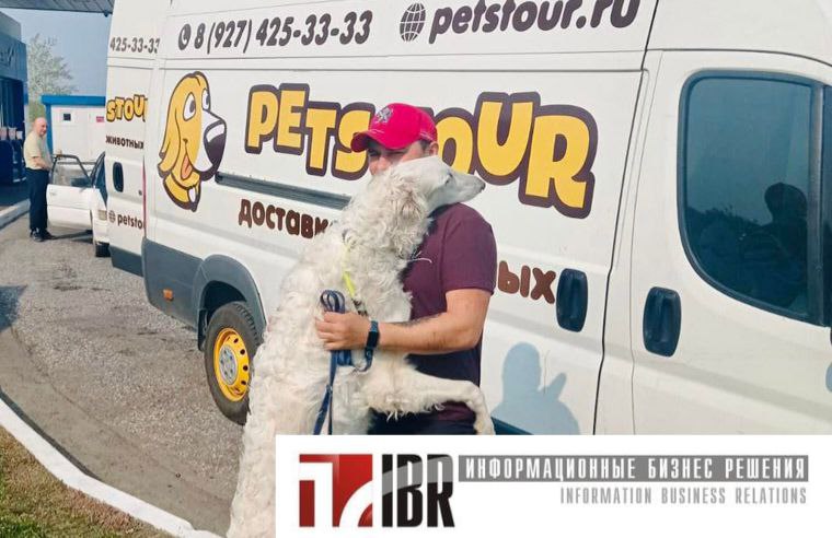 Статья о компании на портале biz360.ru. Автоматизация бизнес-процессов в  “Petstour”